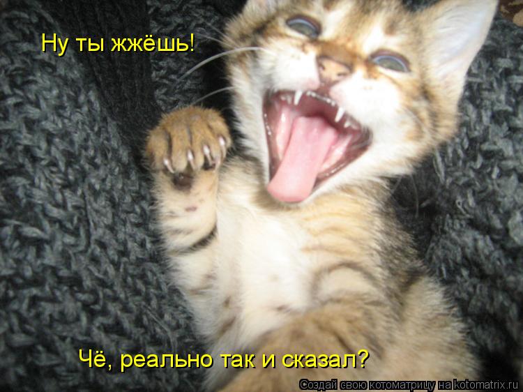 Ну ты жжёшь! Чё, реально так и сказал?... Котоматрица: Ну ты жжёшь! Чё, реально так и сказал?