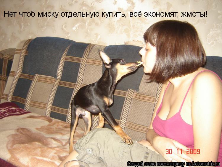 Нет чтоб миску отдельную купить, всё экономят, жмоты!... Котоматрица: Нет чтоб миску отдельную купить, всё экономят, жмоты!