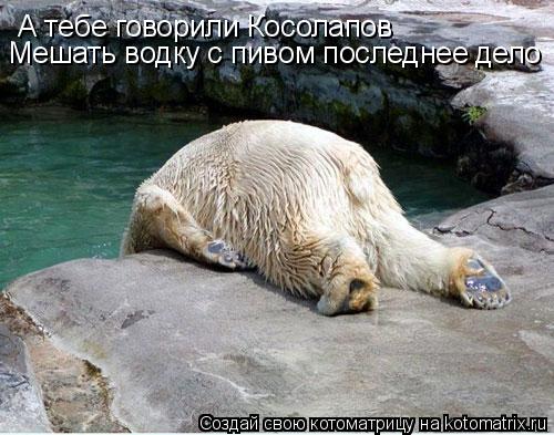 А тебе говорили Косолапов Мешать водку с пивом последнее дело... Котоматрица: А тебе говорили Косолапов Мешать водку с пивом последнее дело