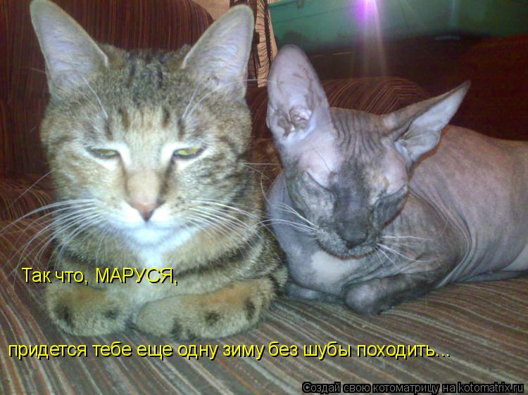 Так что, МАРУСЯ, придется тебе еще одну зиму без шубы походить...... Котоматрица: Так что, МАРУСЯ, придется тебе еще одну зиму без шубы походить...