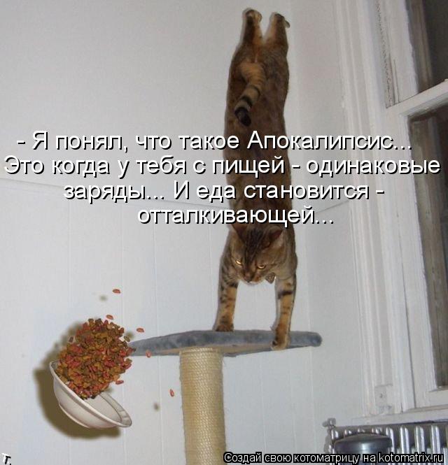 - Я понял, что такое Апокалипсис... Это когда у тебя с пищей - одинаковые заряды... И еда становится ... Котоматрица: - Я понял, что такое Апокалипсис... Это когда у тебя с пищей - одинаковые заряды... И еда становится - отталкивающей...