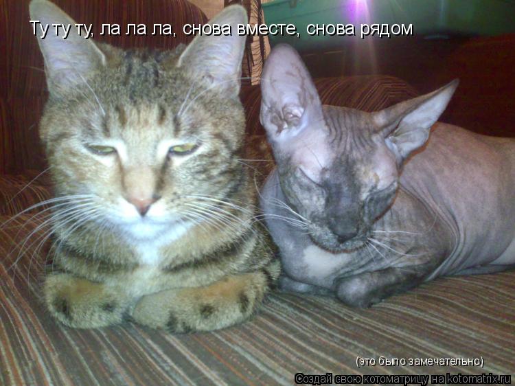 Ту ту ту, ла ла ла, снова вместе, снова рядом (это было замечательно)... Котоматрица: Ту ту ту, ла ла ла, снова вместе, снова рядом (это было замечательно)
