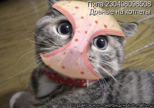 Пила 230498098508 Драные на котлеты... Котоматрица: Пила 230498098508 Драные на котлеты