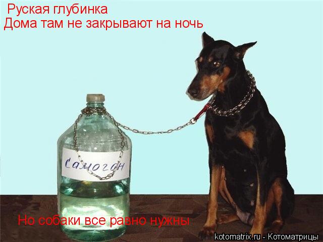 Руская глубинка Дома там не закрывают на ночь Но собаки все равно нужны... Котоматрица: Руская глубинка Дома там не закрывают на ночь Но собаки все равно нужны