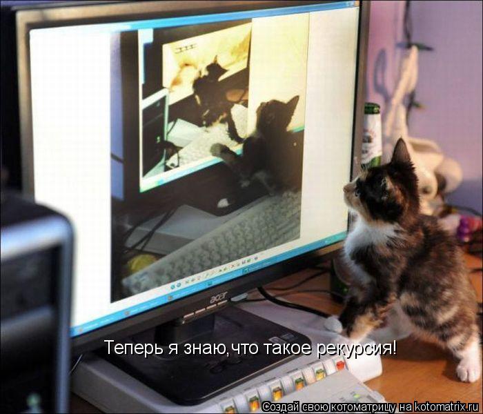 Котоматрица: Теперь я знаю,что такое рекурсия!