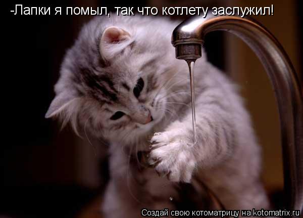 Котоматрица: -Лапки я помыл, так что котлету заслужил!