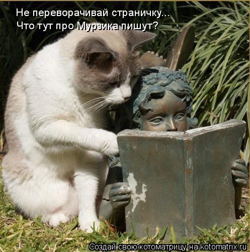 Котоматрица: Не переворачивай страничку... Не переворачивай страничку... Что тут про Мурзика пишут?