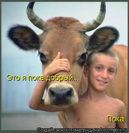 Котоматрица: Это я пока добрый... Пока..