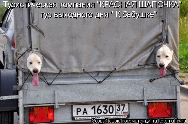 Котоматрица: тур выходного дня " К бабушке" Туристическая компания "КРАСНАЯ ШАПОЧКА"