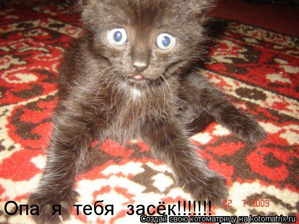 Опа я тебя засёк!!!!!!!... Котоматрица: Опа я тебя засёк!!!!!!!