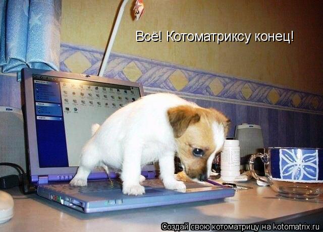 Котоматрица: Всё! Котоматриксу конец!