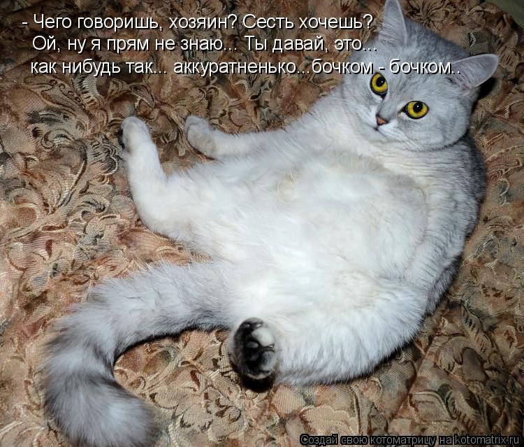 Котоматрица: - Чего говоришь, хозяин? Сесть хочешь? Ой, ну я прям не знаю... Ты давай, это...  как нибудь так... аккуратненько...бочком - бочком..
