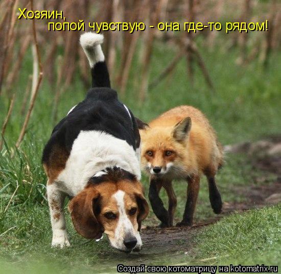 Котоматрица: Хозяин, попой чувствую - она где-то рядом!