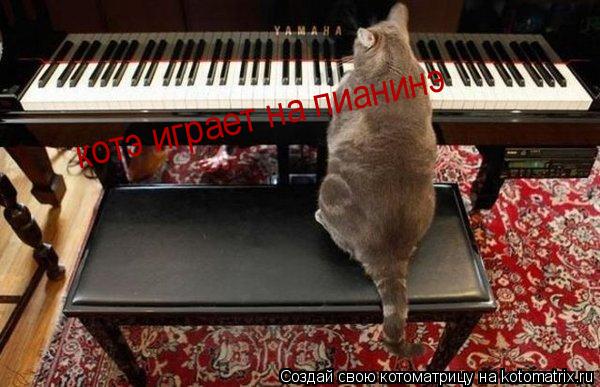 Котоматрица: котэ играет на пианинэ