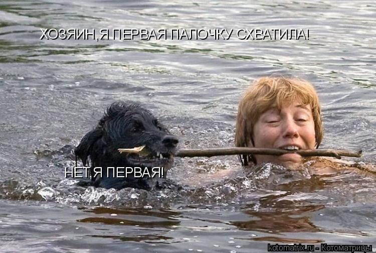 Котоматрица: ХОЗЯИН,Я ПЕРВАЯ ПАЛОЧКУ СХВАТИЛА! НЕТ,Я ПЕРВАЯ!