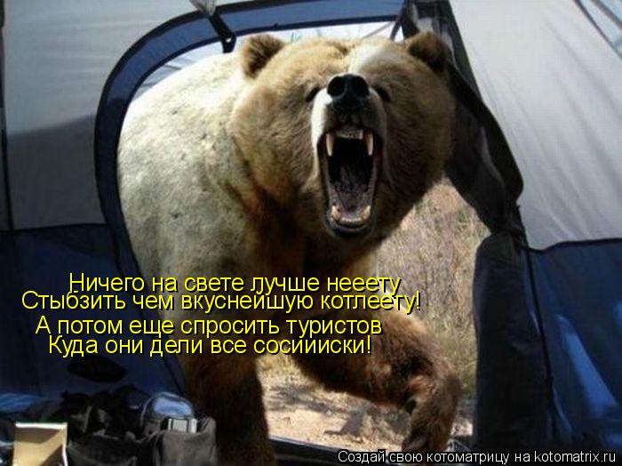Котоматрица: А потом еще спросить туристов Куда они дели все сосиииски! Стыбзить чем вкуснейшую котлеету! Ничего на свете лучше нееету