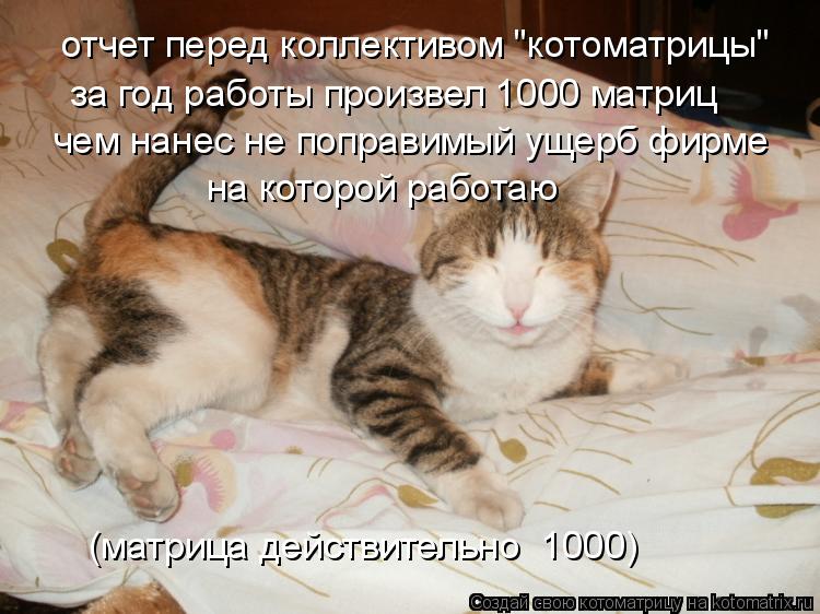 Котоматрица: отчет перед коллективом "котоматрицы" за год работы произвел 1000 матриц чем нанес не поправимый ущерб фирме на которой работаю (матрица дейс