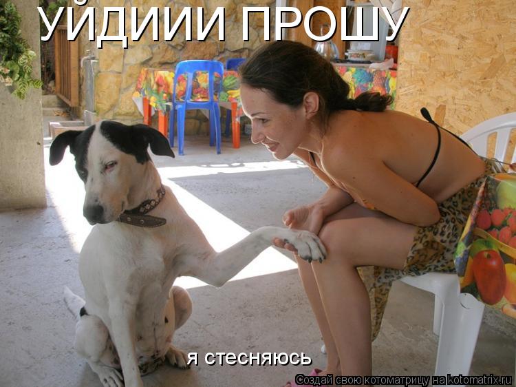 Котоматрица: УЙДИИИ ПРОШУ я стесняюсь