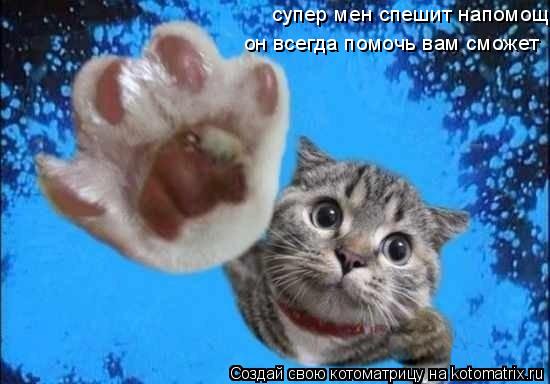 супер мен спешит напомощ он всегда помочь вам сможет... Котоматрица: супер мен спешит напомощ он всегда помочь вам сможет