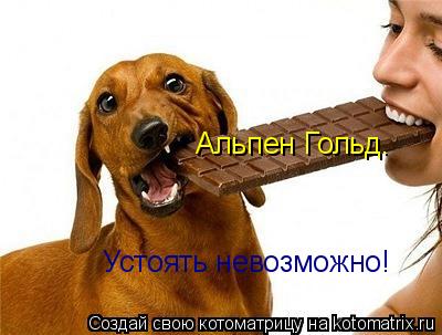 Альпен Гольд. Устоять невозможно!... Котоматрица: Альпен Гольд. Устоять невозможно!