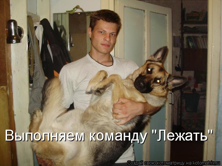 Выполняем команду "Лежать"... Котоматрица: Выполняем команду "Лежать"