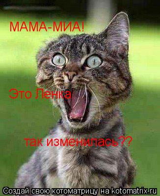 МАМА-МИА! Это Ленка так изменилась??... Котоматрица: МАМА-МИА! Это Ленка так изменилась??