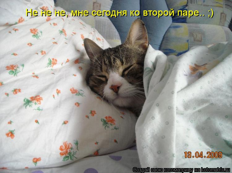 Не не не, мне сегодня ко второй паре.. ;)... Котоматрица: Не не не, мне сегодня ко второй паре.. ;)