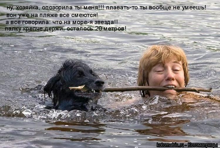 Котоматрица: ну, хозяйка, опозорила ты меня!!! плавать-то ты вообще не умеешь! вон уже на пляже все смеются! а все говорила: что на море-я звезда!! палку креп