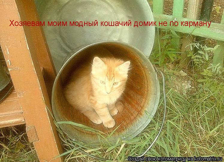 Котоматрица: Хозяевам моим модный кошачий домик не по карману