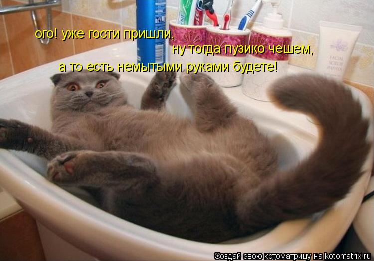 Котоматрица: ого! уже гости пришли, ну тогда пузико чешем,  а то есть немытыми руками будете!