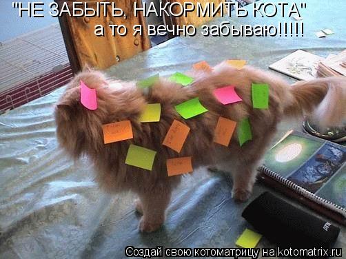 Котоматрица: "НЕ ЗАБЫТЬ, НАКОРМИТЬ КОТА" а то я вечно забываю!!!!!