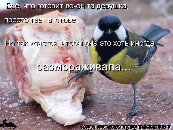 Котоматрица: Всё, что готовит во-он та девушка,  просто тает в клюве . Но так хочется, чтобы она это хоть иногда  размораживала...