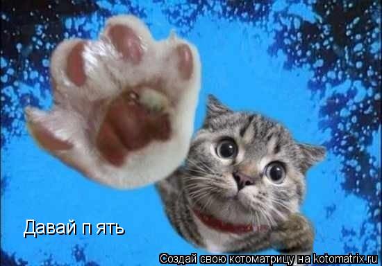 Котоматрица: Давай п ять