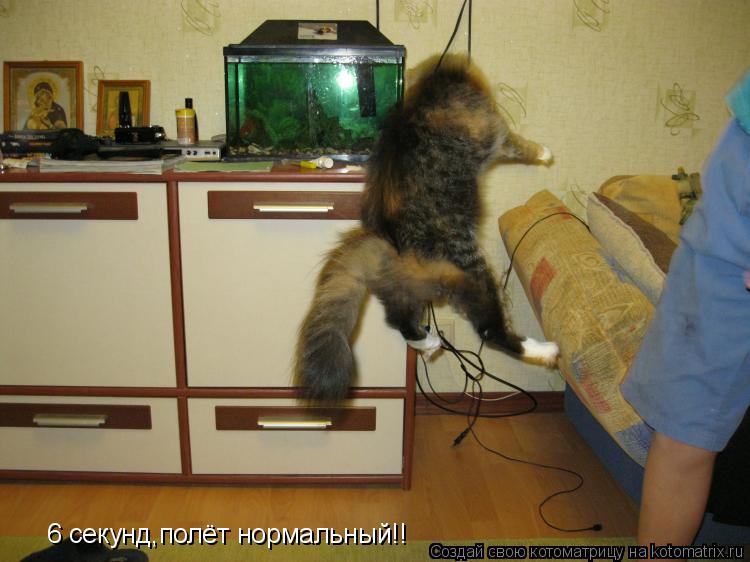 Котоматрица: 6 секунд,полёт нормальный!!