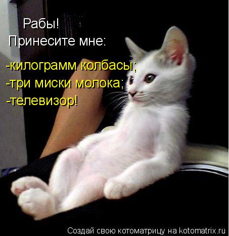 Котоматрица: Рабы! Принесите мне: -килограмм колбасы; -три миски молока; -телевизор!