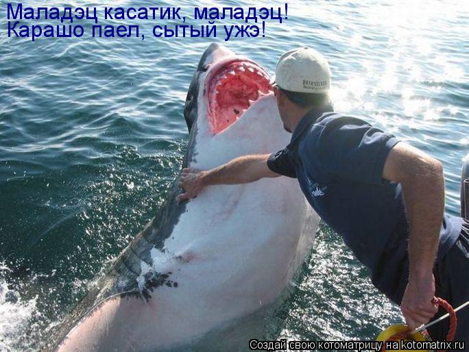 Котоматрица: Маладэц касатик, маладэц! Карашо паел, сытый ужэ!