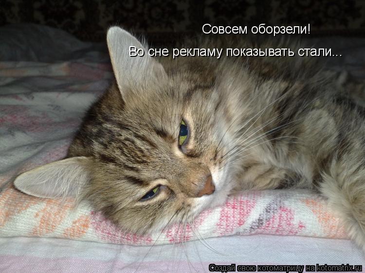Котоматрица: Совсем оборзели!   Во сне рекламу показывать стали...