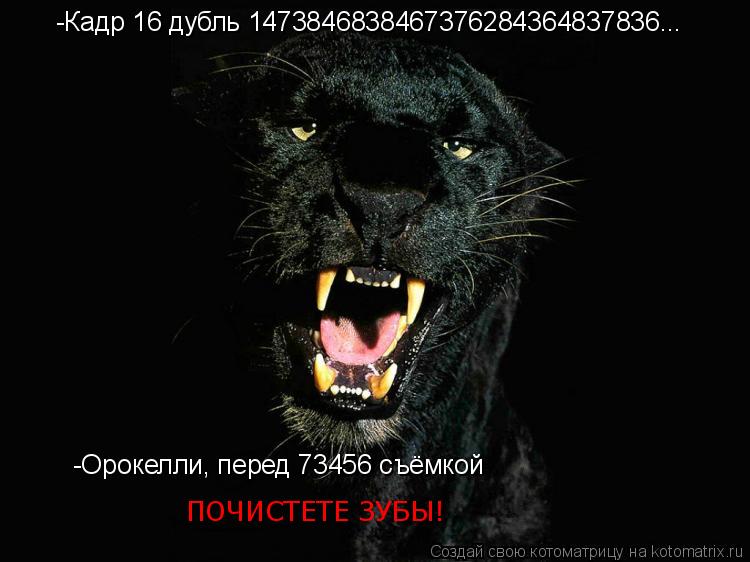Котоматрица: -Кадр 16 дубль 1473846838467376284364837836... -Орокелли, перед 73456 съёмкой  ПОЧИСТЕТЕ ЗУБЫ!