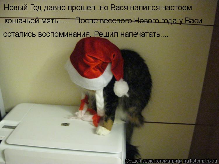 Котоматрица: Новый Год давно прошел, но Вася напился настоем  кошачьей мяты ....  После веселого Нового года у Васи остались воспоминания. Решил напечатат