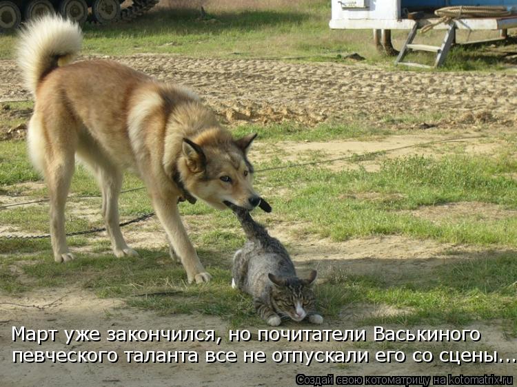 Март уже закончился, но почитатели Васькиного певческого таланта все не отпускали его со сцены...... Котоматрица: Март уже закончился, но почитатели Васькиного певческого таланта все не отпускали его со сцены...