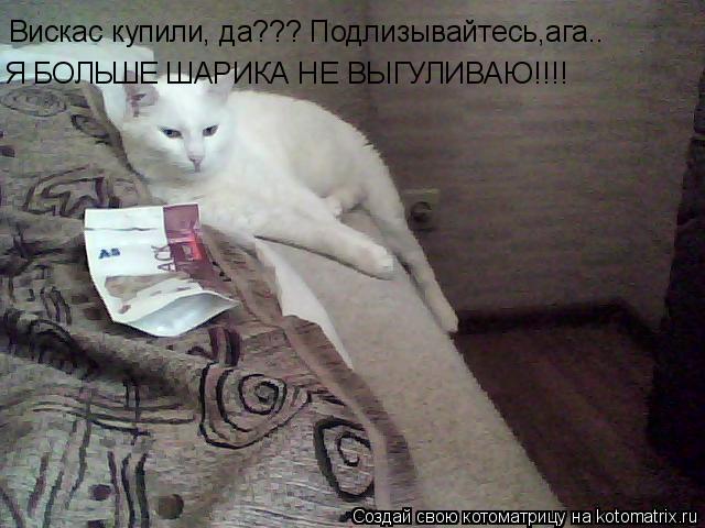 Котоматрица: Вискас купили, да??? Подлизывайтесь,ага.. Я БОЛЬШЕ ШАРИКА НЕ ВЫГУЛИВАЮ!!!!