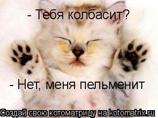 - Тебя колбасит? - Нет, меня пельменит... Котоматрица: - Тебя колбасит? - Нет, меня пельменит