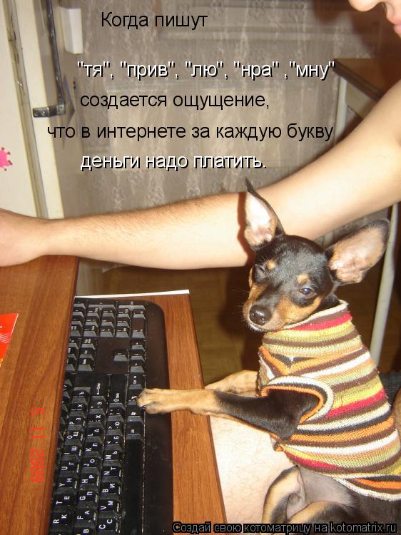 Котоматрица: Когда пишут   "тя", "прив", "лю", "нра" ,"мну" создается ощущение,  что в интернете за каждую букву   деньги надо платить.