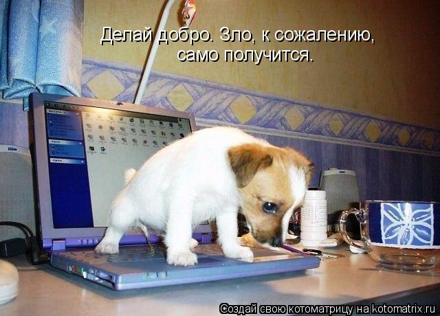 Котоматрица: Делай добро. Зло, к сожалению,   само получится.