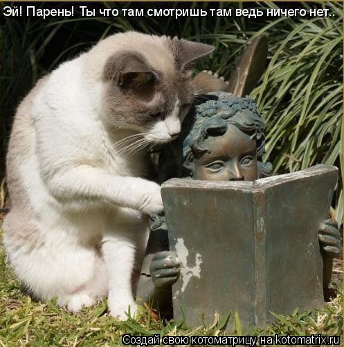 Котоматрица: Эй! Парень! Ты что там смотришь там ведь ничего нет..