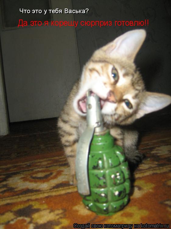 Котоматрица: Что это у тебя Васька? Да это я корешу сюрприз готовлю!!