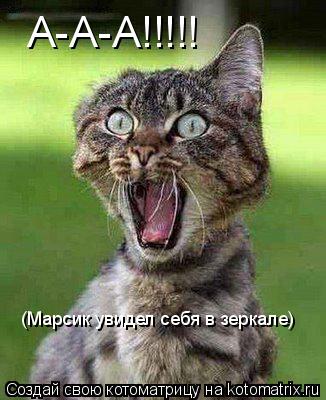 А-А-А!!!!! (Марсик увидел себя в зеркале)... Котоматрица: А-А-А!!!!! (Марсик увидел себя в зеркале)