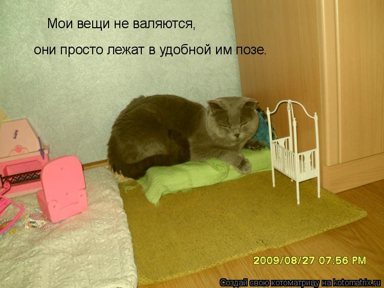 Котоматрица: Мои вещи не валяются,   они просто лежат в удобной им позе.