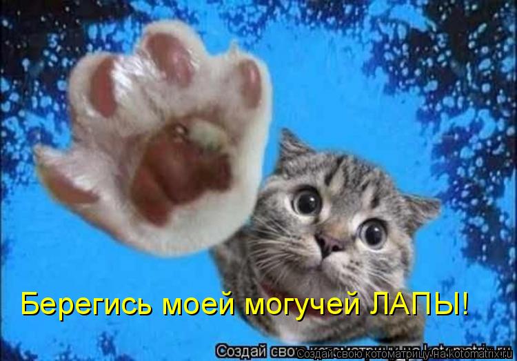Котоматрица: Берегись моей могучей ЛАПЫ!