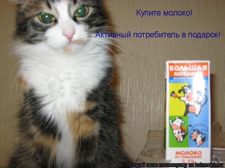 Котоматрица: Купите молоко! Активный потребитель в подарок!